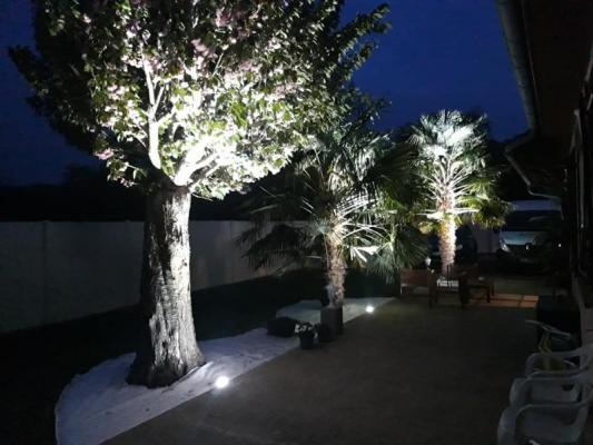 eclairage-arbre