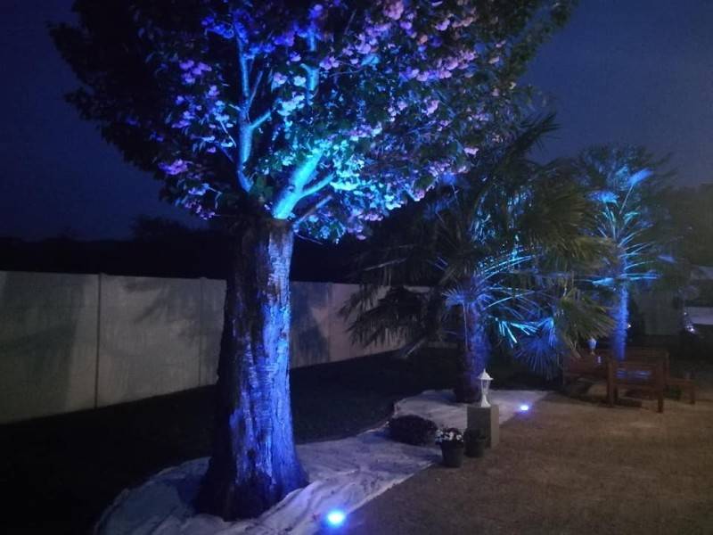 eclairage-arbre
